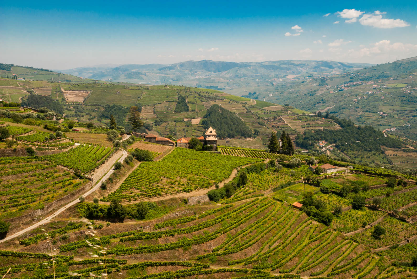 VINEYARDS & WINERY FOR SALE DOURO PORTO WINE-GROWING PORTUGAL | Douro Superior Porto, Cima Corgo, Baixo Corgo